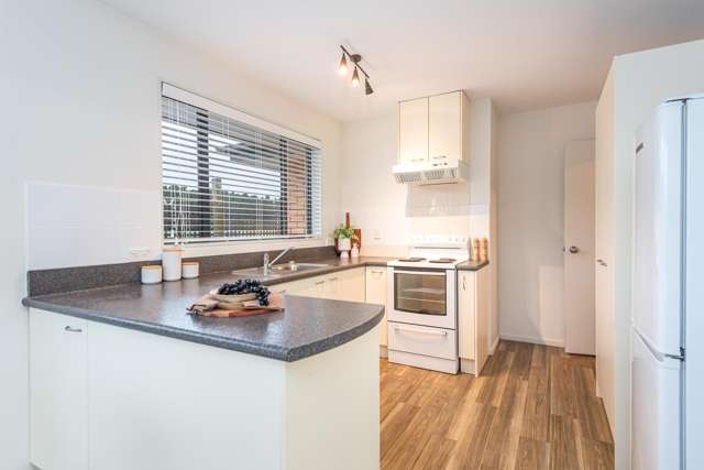 29C Kearneys Road Linwood_3
