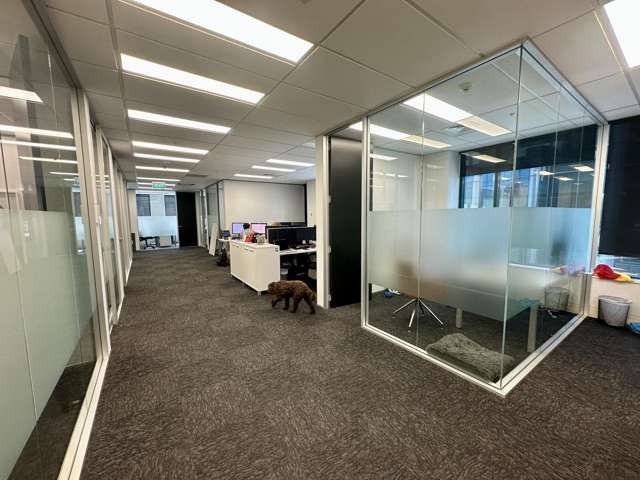 103 Carlton Gore Road Newmarket_2