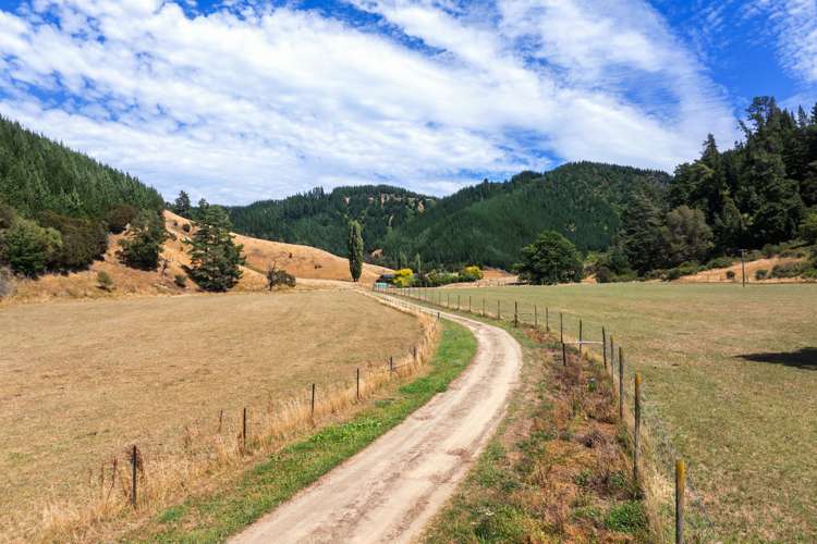 407 Onamalutu Road Wairau Valley_8