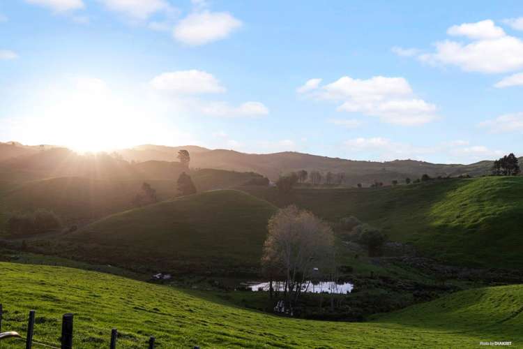 413 Klondyke Road Onewhero_10