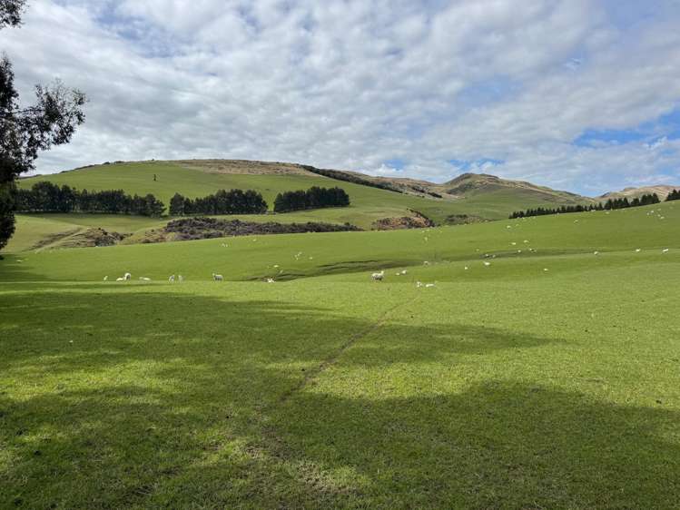 365 Glenure Hill Road Hokonui Hills_8