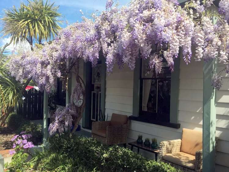 2 Paradise Road Napier South_2