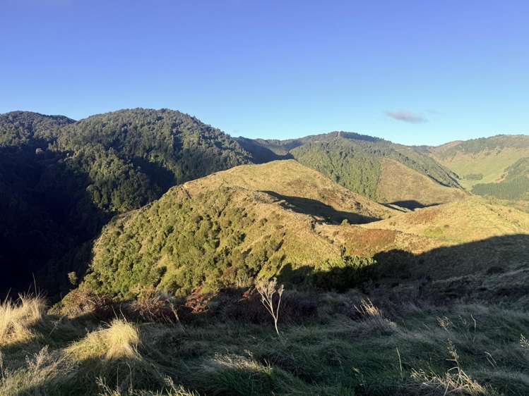 7957 State Highway 2 Opotiki Surrounds_28