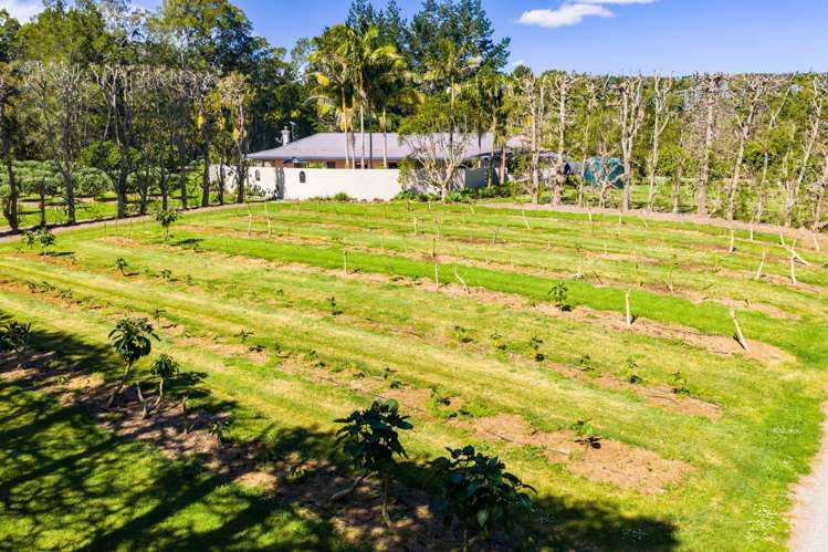 179 Pukeatua Road Maungatapere_19