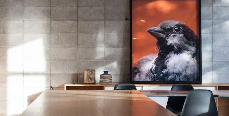 19a Blake Street Ponsonby_6