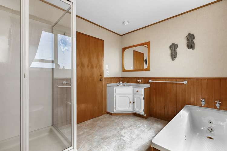 49 Elliot Street Andersons Bay_18