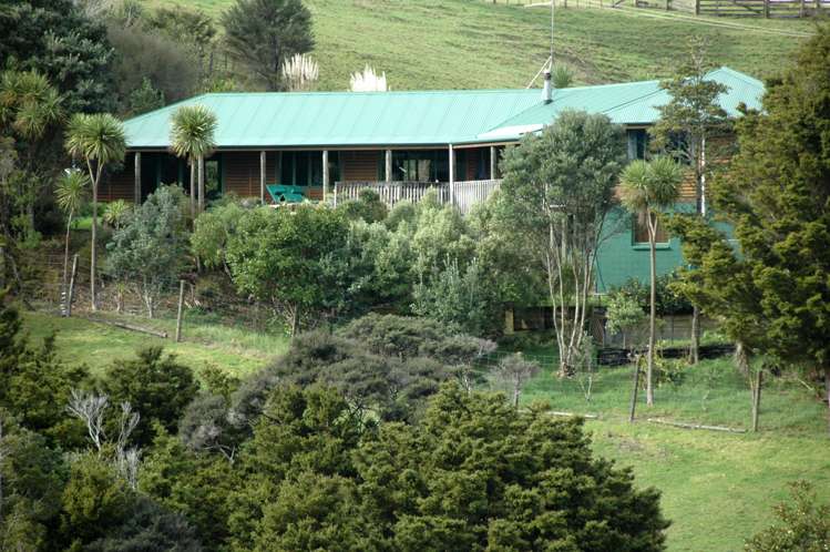 156 Shanks Road Helensville_0