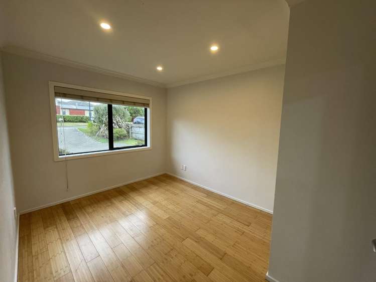 5 Catlins Glen Aotea_9