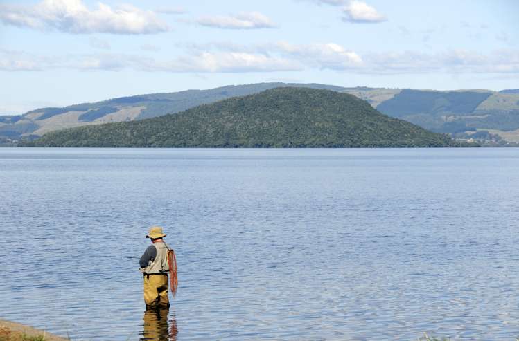 18 Okona Crescent Ngongotaha_17