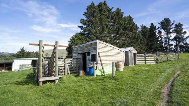 42 Falcon Street Palmerston_22