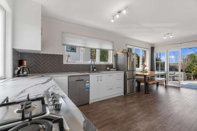 184 Tuhikaramea Road Dinsdale_1