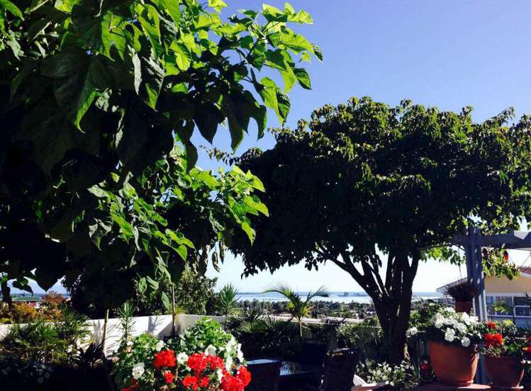 5 Barrington Place Richmond_14