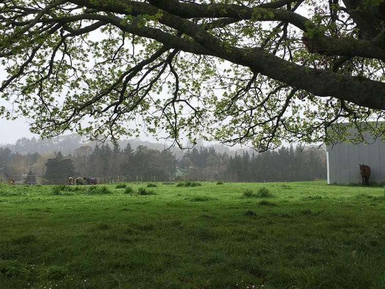 141 Parker Lane Buckland_17