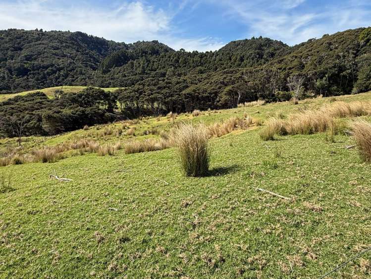 Lot 4 354 Mountain Road Maungaturoto_6