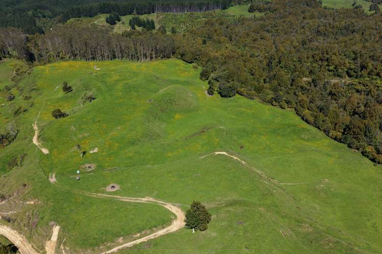 869 and 668 Mangatoi Road Oropi_10