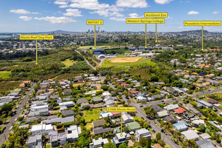 239b Meola Road Point Chevalier_12