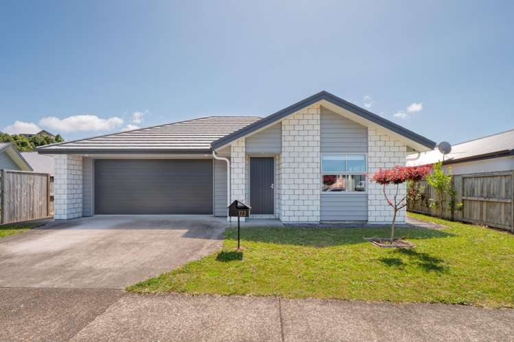 123 Whakaturou Crescent_0