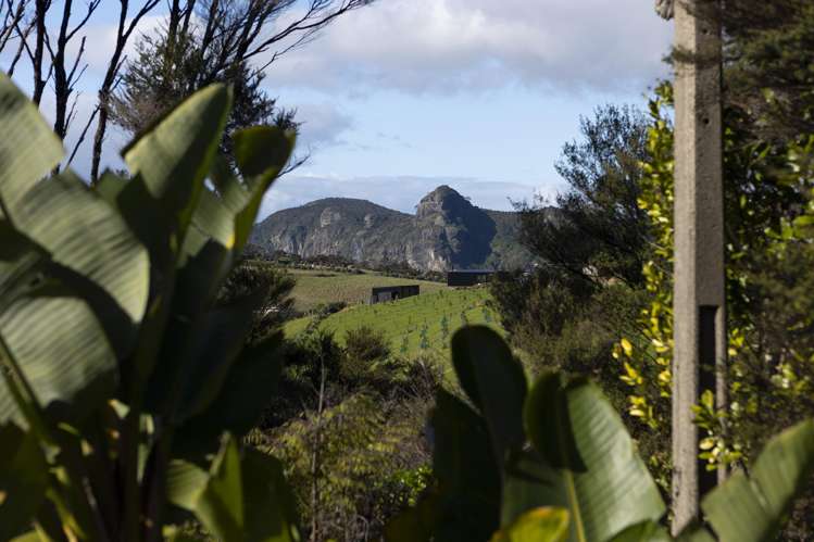 926 Taupo Bay Rd Taupo Bay_23