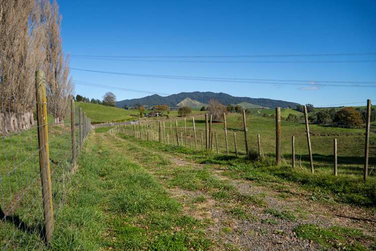 2/1873 Maungatautari Road Cambridge_12