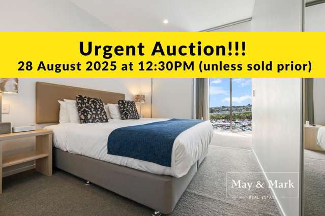 Urgent Auction! Hands off investment