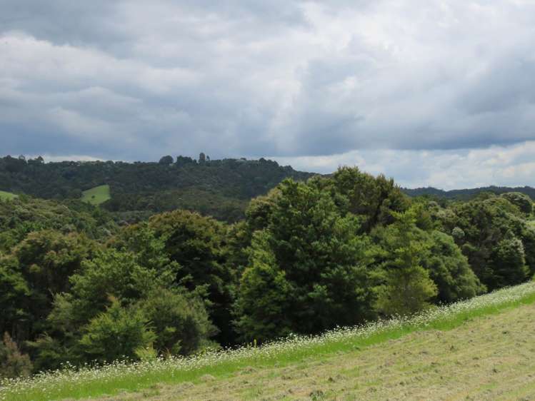 Pataua North Road Pataua_23