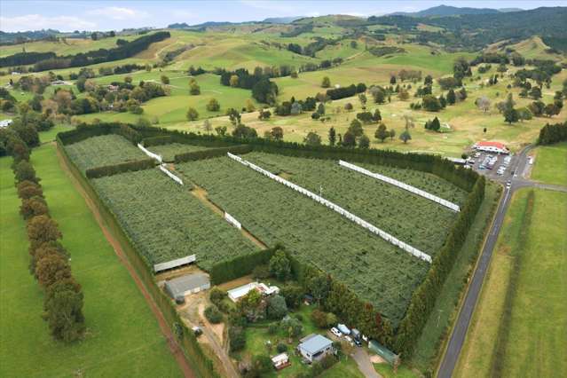 79 Woodlands Road Waihi Beach_3