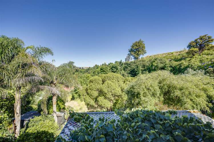 1 Lawrence Road Hospital Hill_15