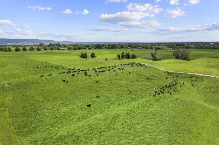 289/296 Tauranga Road Matamata_11