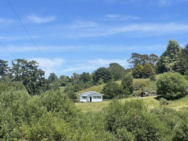 15 Kawana Street Piopio_3