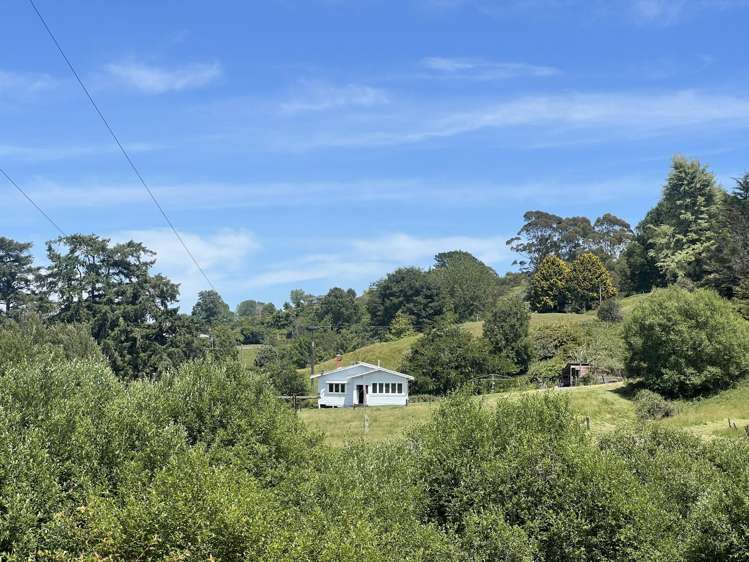 15 Kawana Street Piopio_17