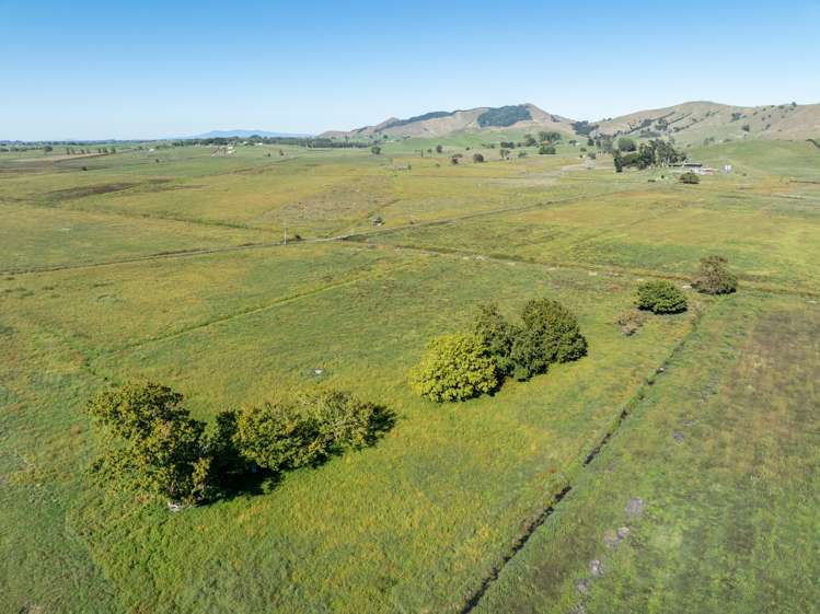 1072 Tahuna Road Waiterimu_8