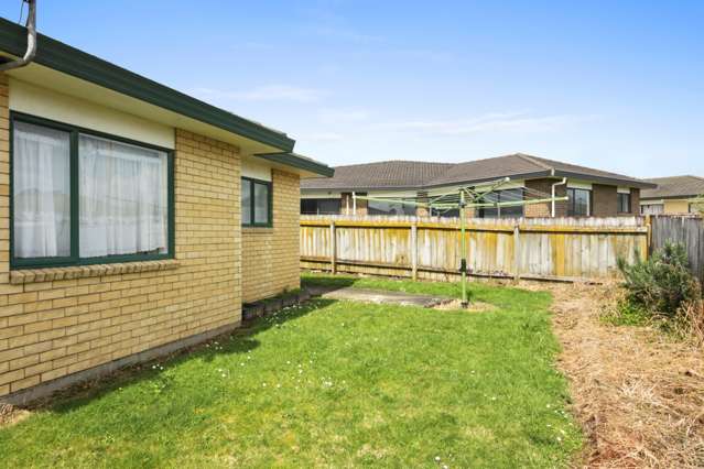 67 Pitt Avenue Clendon Park_1