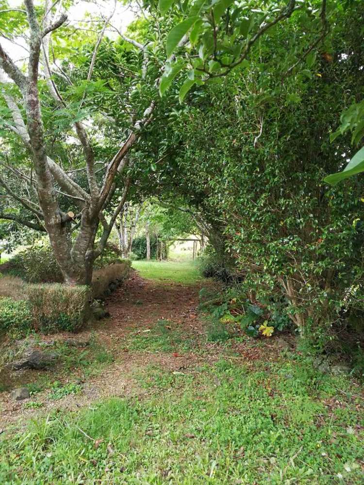 1618 State Highway 14 Maungatapere_13