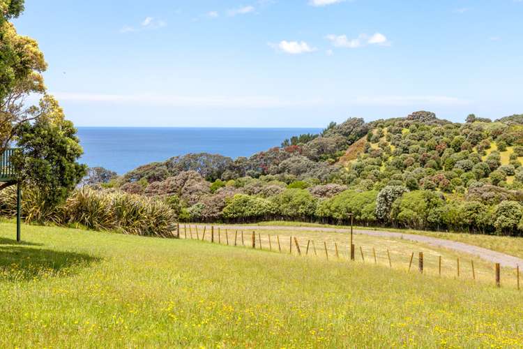 443 Onemana Drive Onemana_12