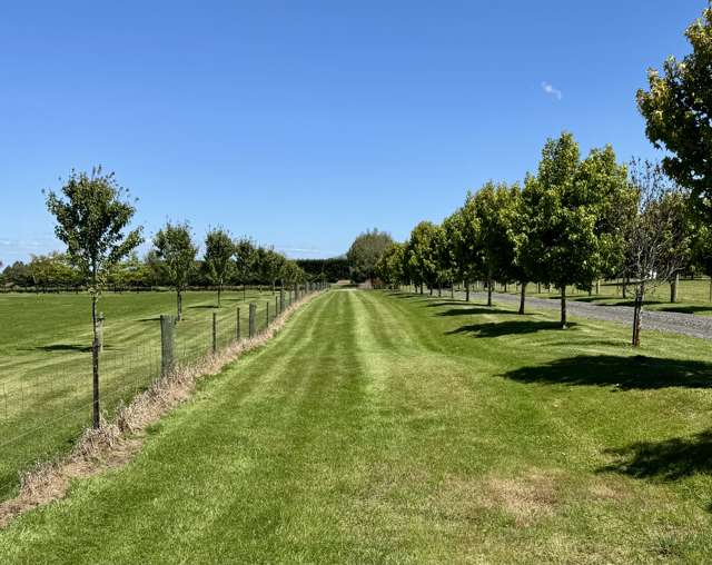 Dream big in North Taieri - spacious and private