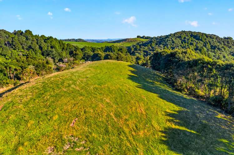 115 Sonja Drive Hunua_7