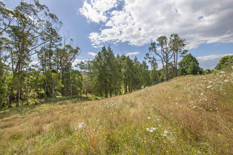 48 Pond Road Raglan_28