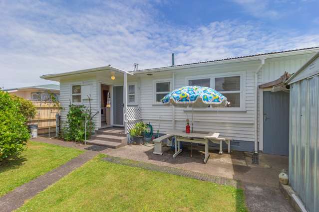 42 Rugby Street Levin_1