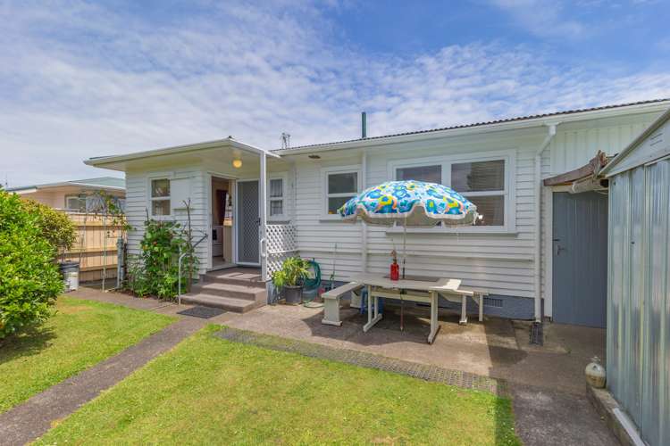 42 Rugby Street Levin_1