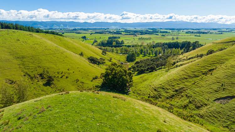 Lake Ferry Road Martinborough_5