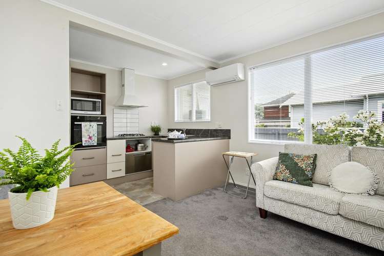 3/44 Britannia Street Petone_1