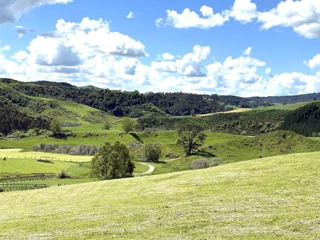 1/1745 Arapuni Road Parawera_2