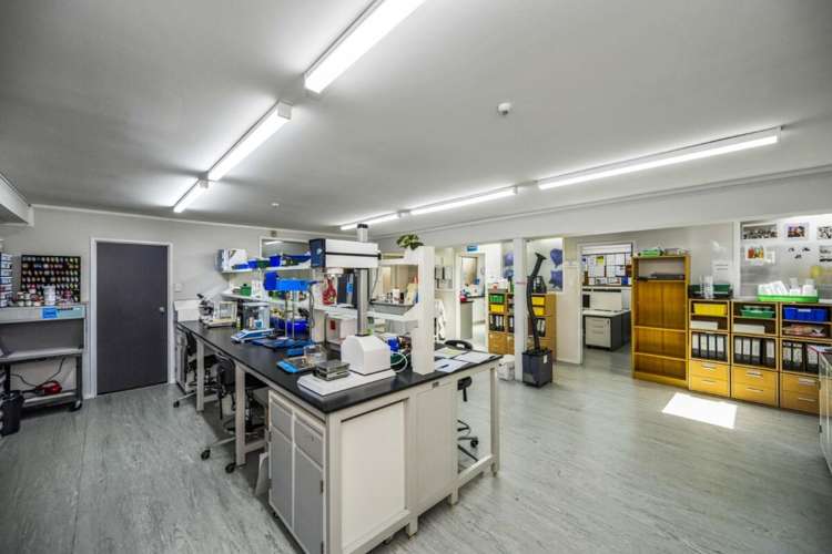 9 Canon Place Pakuranga_12