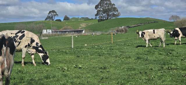128 Waikaukau Road Ngakuru_2