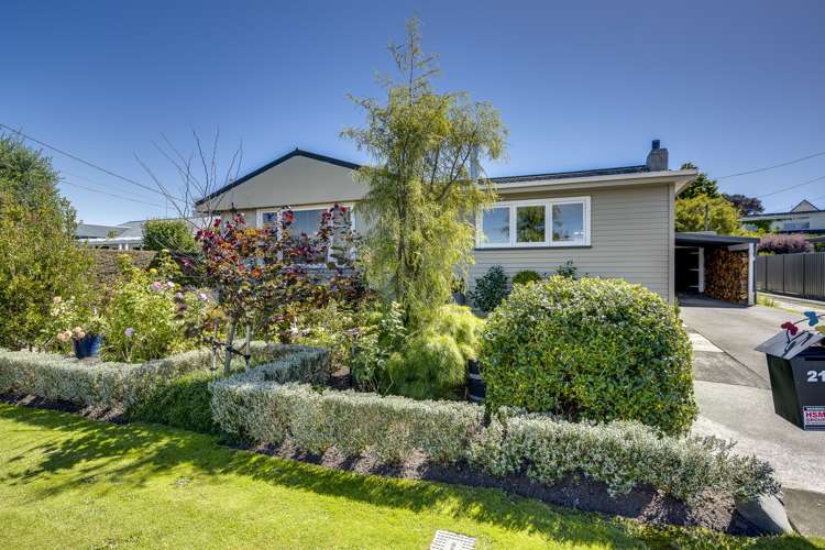 212 Terrace Road Parkvale_10