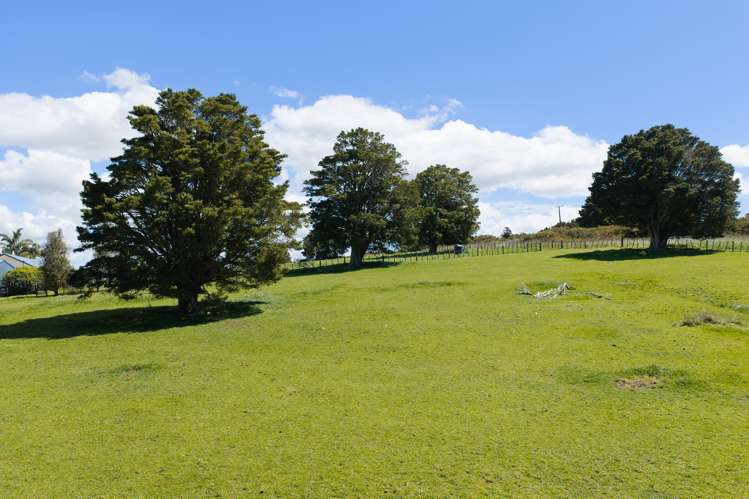 223 Puhipuhi Road Whakapara_8