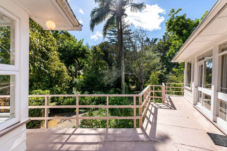 218 Springfield Road Mangapai and Surrounds_12