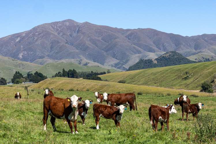 61 Howells Road Maungati_18