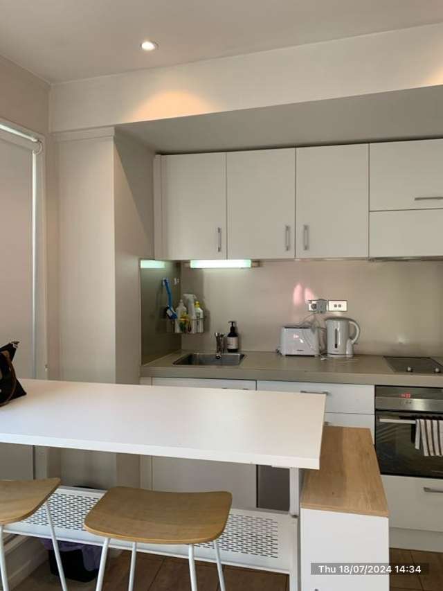 Apartment in the Heart of Wellington