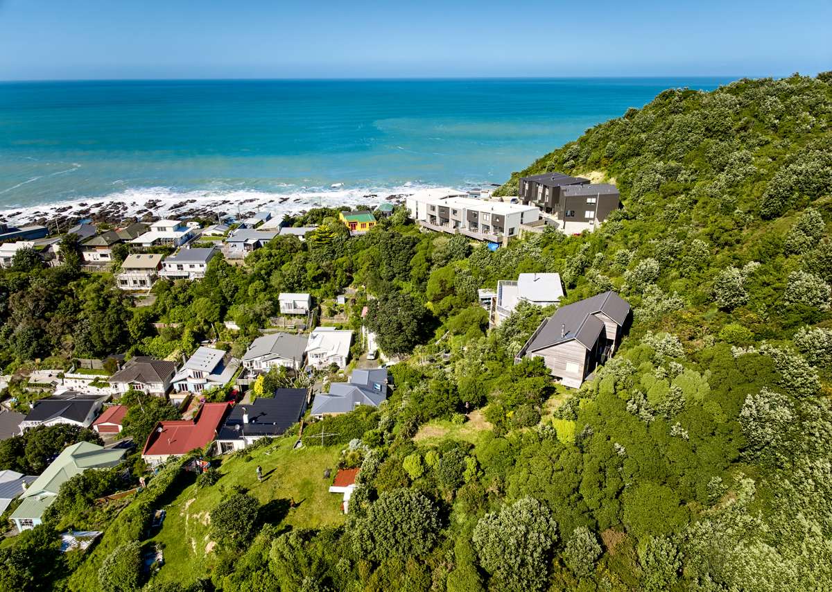 Strret Island 20A Valley Street | Island Bay | Wellington City | Houses for Sale ...